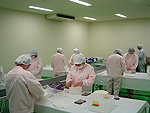 クリーンルーム作業風景